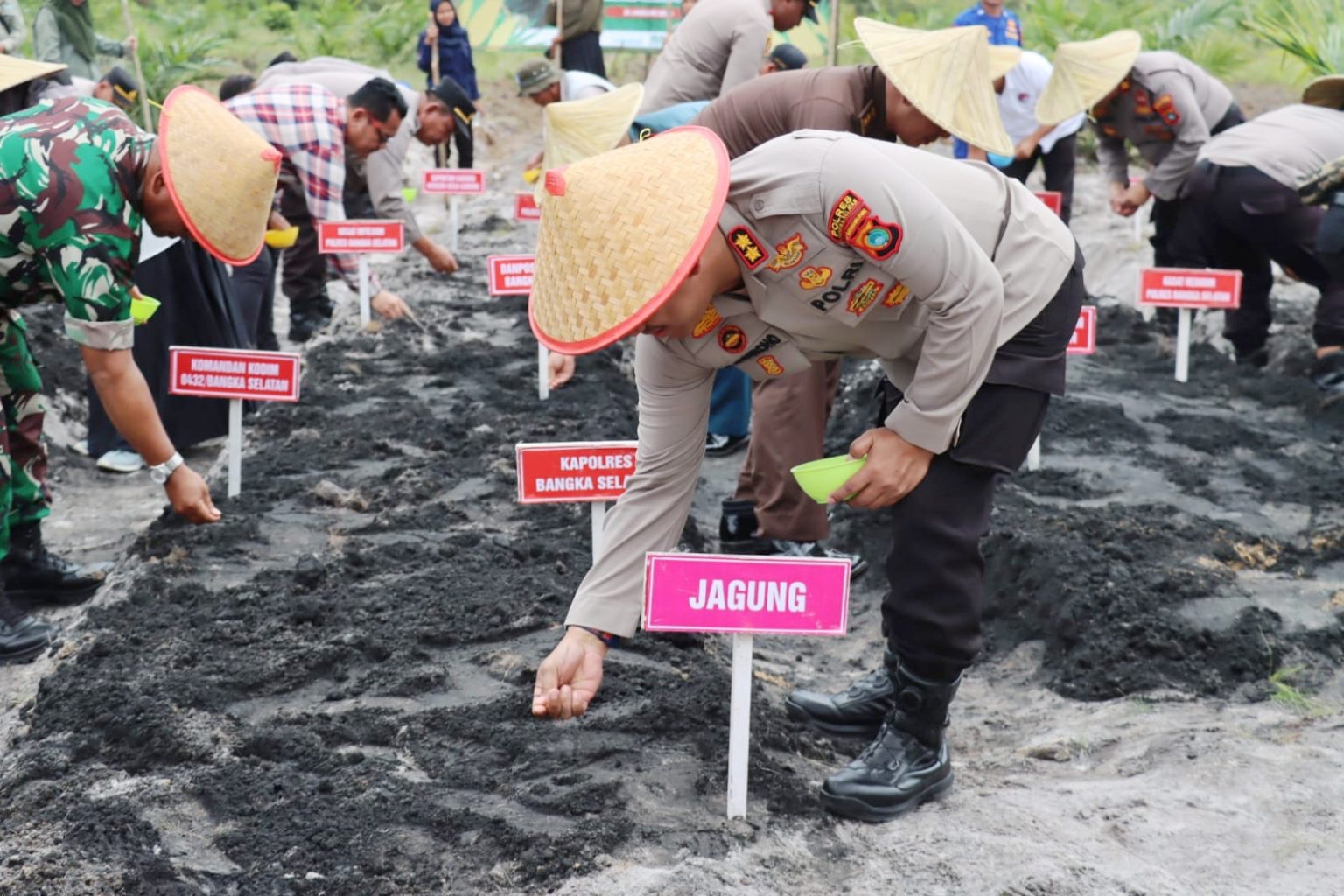 Dukung Swasembada Pangan 2025, Polres Bangka Selatan Gelar Penanaman Jagung Nasional